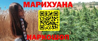 сатива Гусев