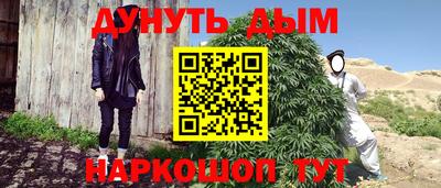 сатива Гусев