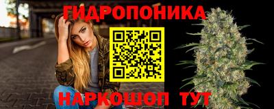 2c-b Гусиноозёрск