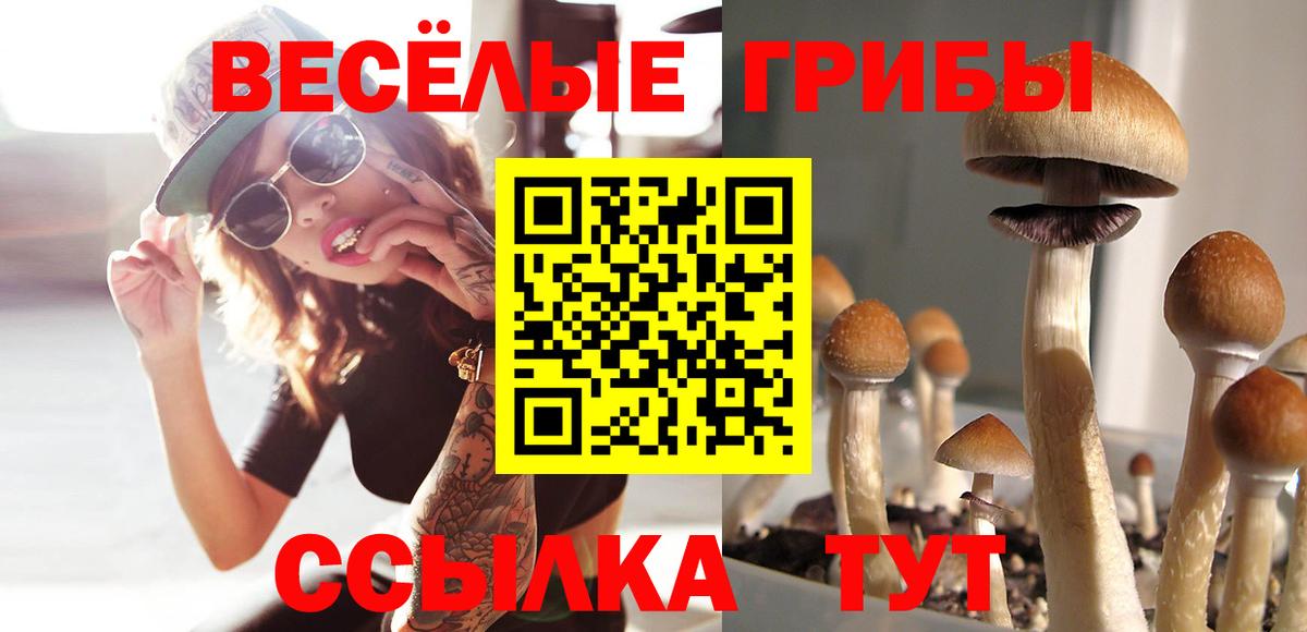 Псилоцибиновые грибы прущие грибы Мытищи