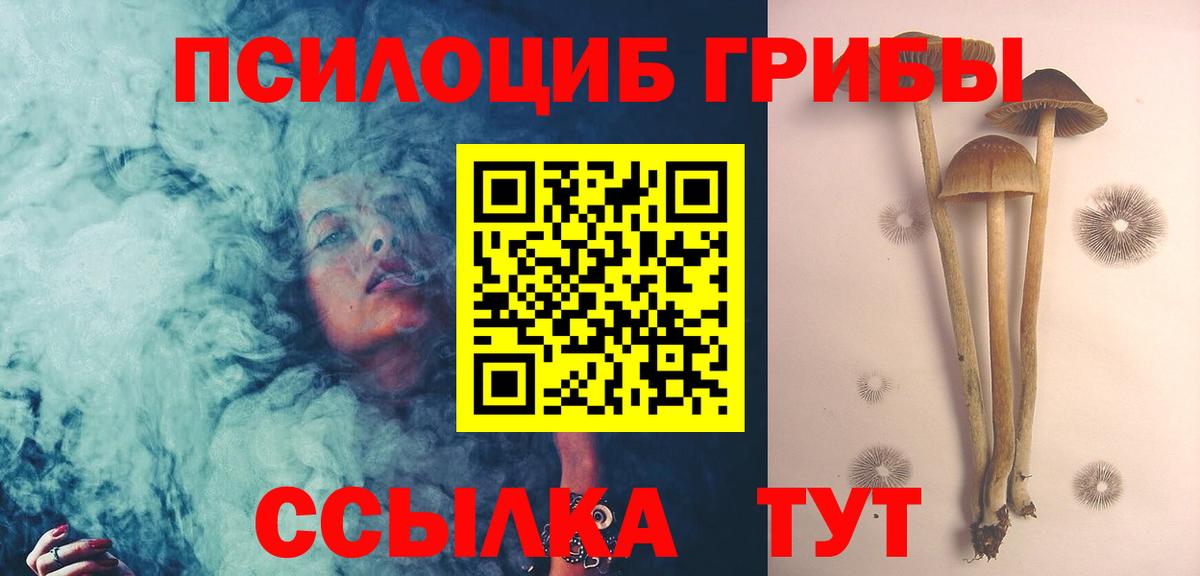 Псилоцибиновые грибы GOLDEN TEACHER  Галлюциногенные грибы мицелий  закладки  Мытищи  Вход с VPN 